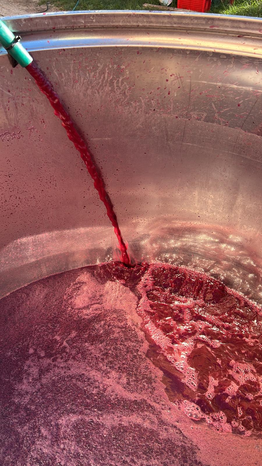 Piatto della cucina umbra — La Grande Quercia Montefalco